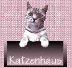 zum katzenhaus